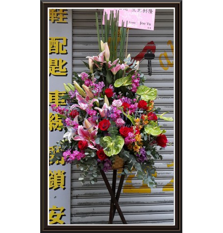 CBF-008
